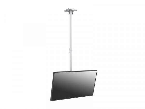 Deckenhalter 1x, 24"-42", weiss, VESA 100 x